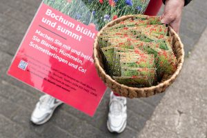 Tütchen mit einer Wildblumenmischung im Rahmen der Aktion "Bochum blüht und summt" Foto: Lutz Leitmann/Stadt Bochum